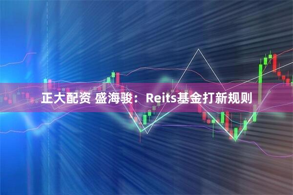 正大配资 盛海骏：Reits基金打新规则