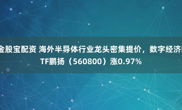金股宝配资 海外半导体行业龙头密集提价，数字经济ETF鹏扬（560800）涨0.97%